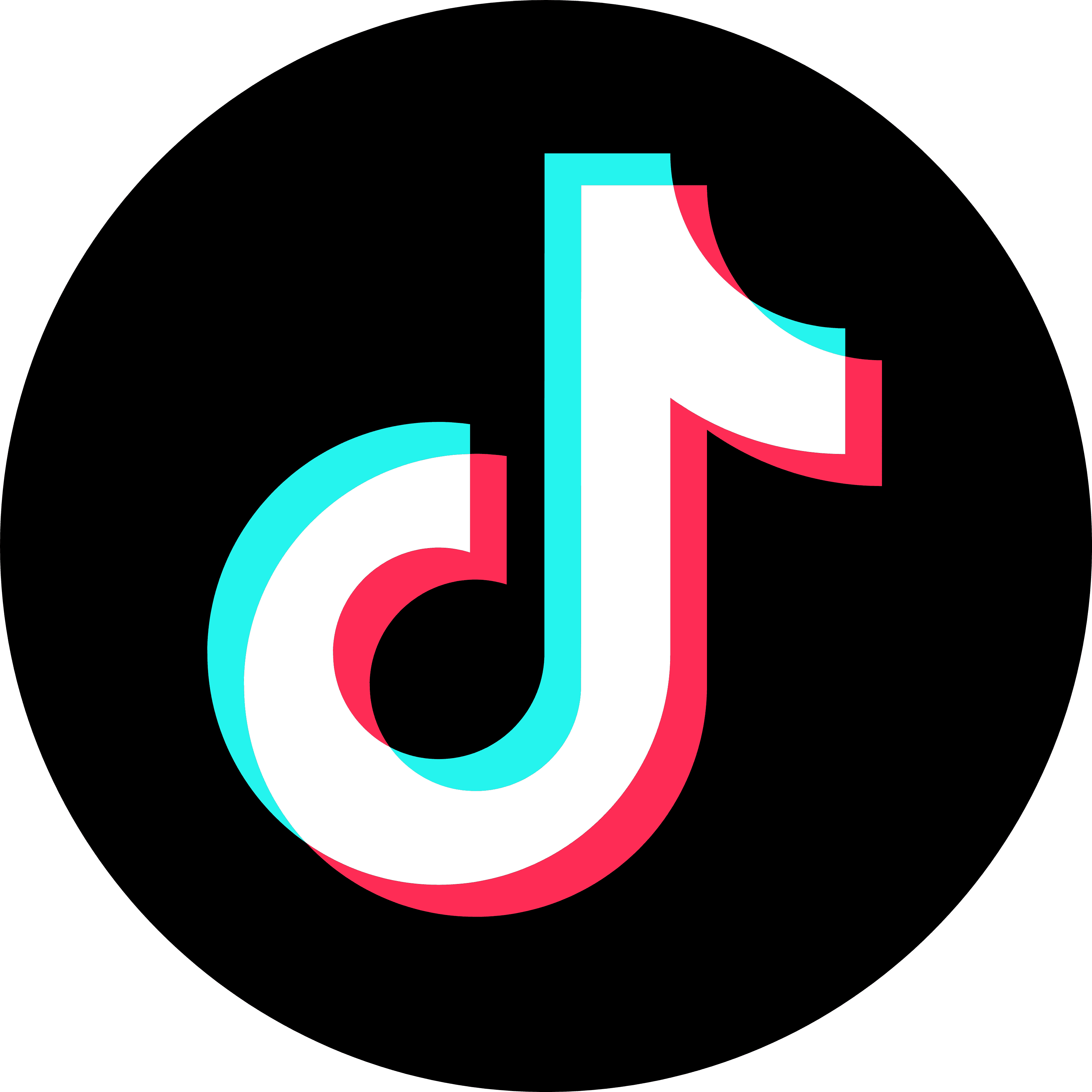 TikTok Logo